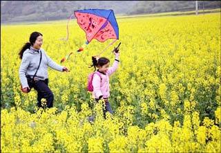 清明出游新趋势：踏青追花、乡野观光，解锁春日乐趣