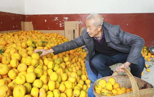 一条视频看完苦尽柑来爱的延续