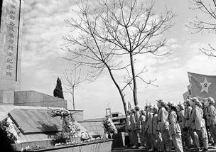 2025清明祭英烈：缅怀先辈，传承红色基因