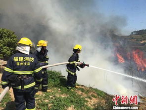 广西清明祭祖：专业炮手申请出战，抢花炮民俗活动震撼人心