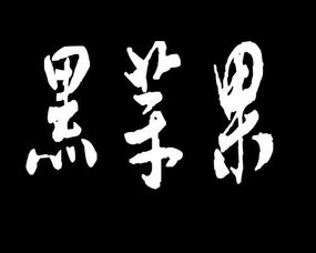 我说写毛笔字：从零基础到爱上书法的奇妙旅程