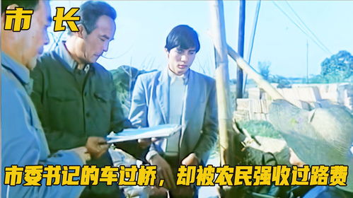 真相还原：他们为何拦下了市委书记的车？