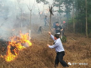 男子拜山发现一地蛇皮，背后真相令人不寒而栗