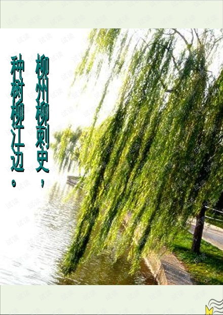 漆树村的诗｜种树记：田鼠大婶与她的乡村四季