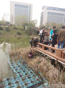 女孩拍照不慎落水，真实故事背后的生命接力