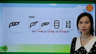 《动物儿歌》第一课时教学反思：从课堂到成长的深度思考