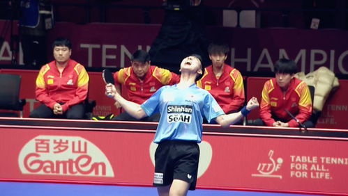 WTT仁川赛：黄牌满天飞的背后，国乒选手如何应对？