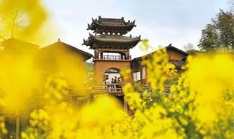 闲来无事，不如寻处寺外茶舍