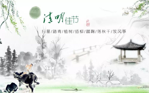 清明假期第2天：踏青、祭扫与温暖春光