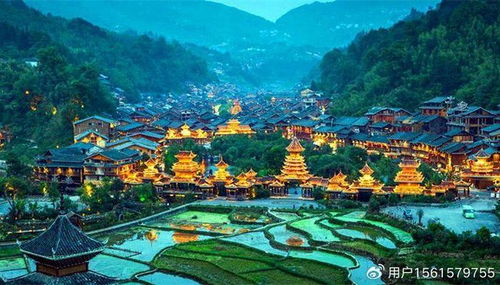 清明小长假：赏花游园，文旅融合的春天