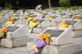 清明扫墓后秒变野餐现场，这个春天我们玩出了新花样