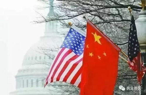 美国滥用关税政策，中国坚定立场如何捍卫全球贸易规则