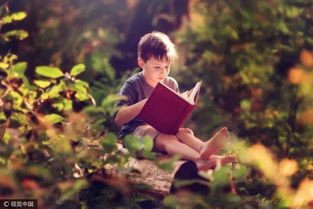 为什么你越读书越迷茫？阅读高手都在偷偷用这2个方法