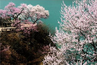 峡谷踏青正当时，感受自然与生命的律动