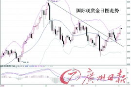 国际黄金价格为何连续两天高位跳水？背后真相大揭秘