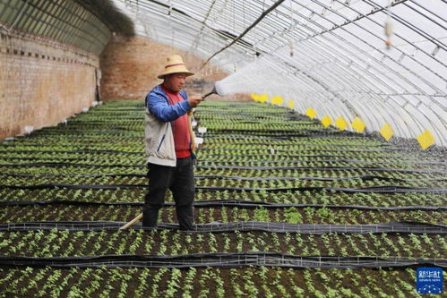 祖国大地春耕春管工作有序推进，各地抢抓农时忙生产