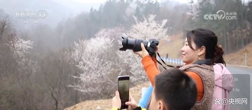 解锁打开春天的N种方式