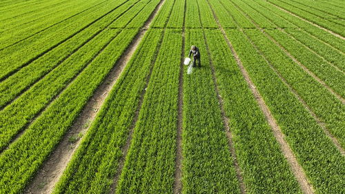 揭秘藏在节气里的农事密码