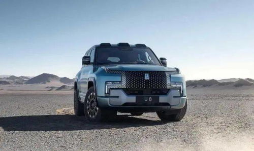 甲亢哥体验比亚迪仰望U8“水上漂”：一场科技与激情的碰撞