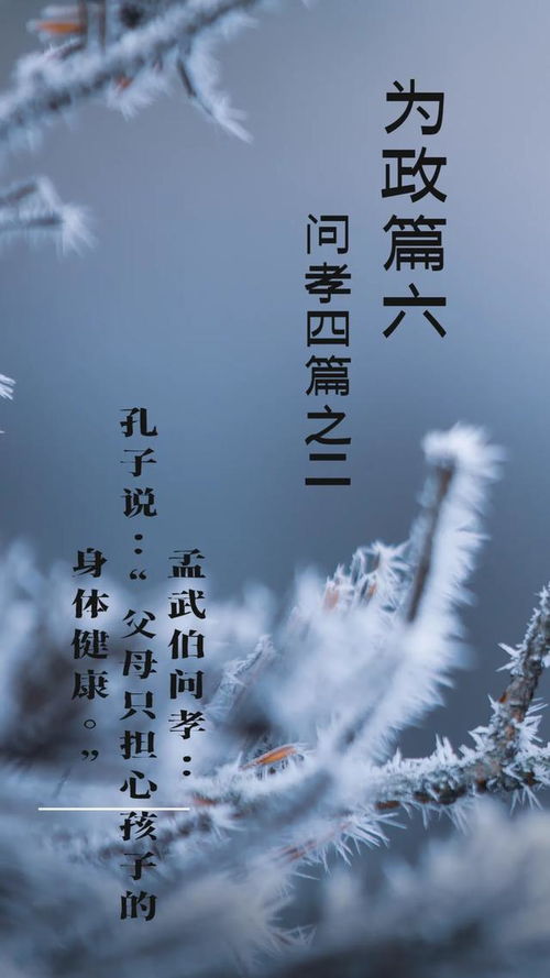 吾爱论语：自知者明，方能行稳致远