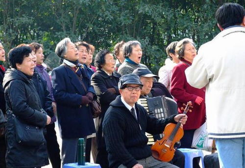 一年花10万旅行，老年人玩出万亿市场！