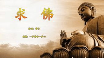 求佛之路：一次心灵的洗礼与成长