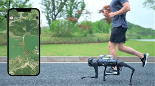 揭秘网红机器狗宇树的秘密：倒立行走背后的科技奇迹