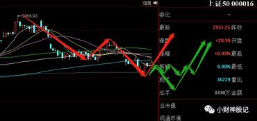 A股明日开盘或将补跌：新股民的困惑与市场分析