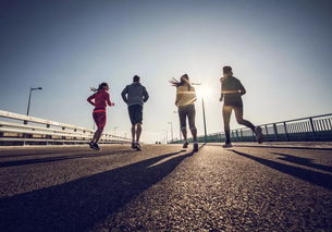 坚持的力量：从平淡到卓越的蜕变