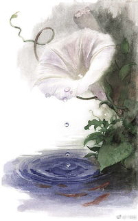 自由的味道：从站长到自由写手的蜕变之路