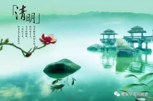 清明假期第一天：一场与春天的约会