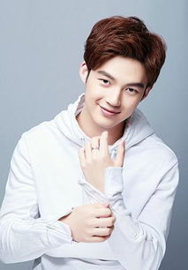 董力家庭风波：从奶爸到争议中心