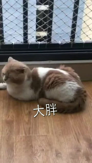 唉，可惜了：那些年错过的机会与选择