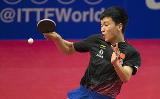 向鹏：从WTT赛场到微博热搜，他是如何成为男单冠军的？