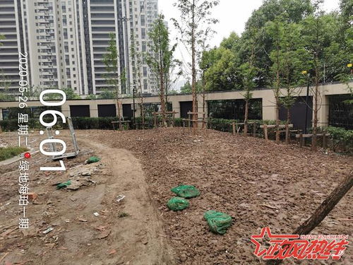 小区停车纠纷引车主车辆被砸，背后真相令人深思