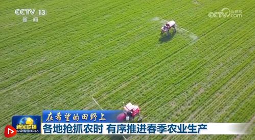 春耕正当时：各地抢抓农时，科技助力农业生产