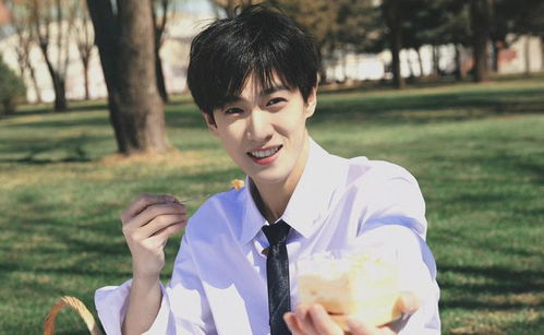 李昀锐双胞胎哥哥探班引发粉丝热议：认错人事件大揭秘