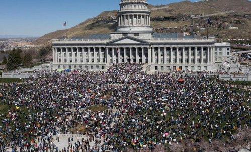 全美数十万人抗议特朗普政策，社交媒体上掀起“企鹅税”恶搞风潮