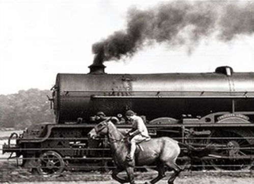 2000多年前的中国人已经开始吸猫了！