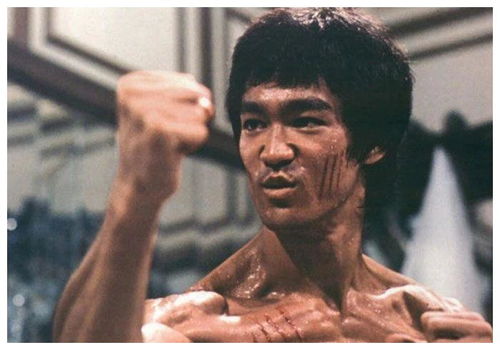 李小龙与成龙：功夫巨星的比较