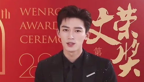 王星拒绝翻拍经历背后：从话题演员到真正演员的蜕变