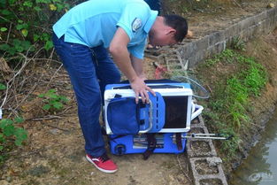 419钓鱼记：一次惊心动魄的野外冒险