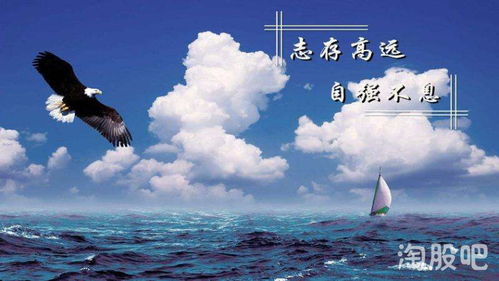 最靠谱的，永远是自强不息的自己