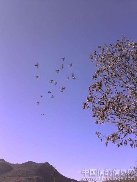 呼啸山庄音乐剧：一场灵魂深处的震撼之旅