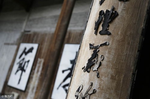 从‘搬运工’到‘破局者’：农夫山泉的千亿水战生存法则