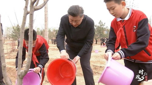 再植绿行动：总书记关注的三个关键词，我亲身感受到的力量