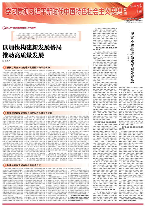 坚定不移推进高水平对外开放：个人视角下的机遇与挑战