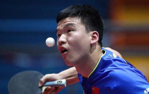 向鹏李尚洙新老对决：谁能笑到最后？