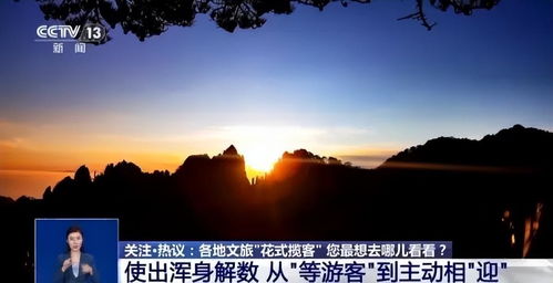 青岛文旅局回应“孤独的树”成网红景点：流量与保护并存