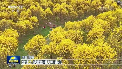 春和景明 游客尽享浓浓春意